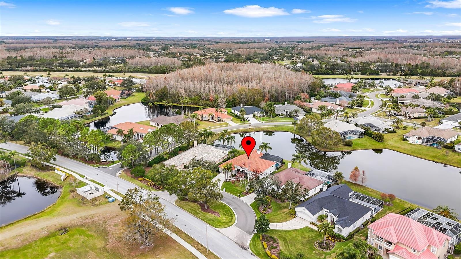 4339 CHEVAL BLVD, LUTZ, FL, 33558