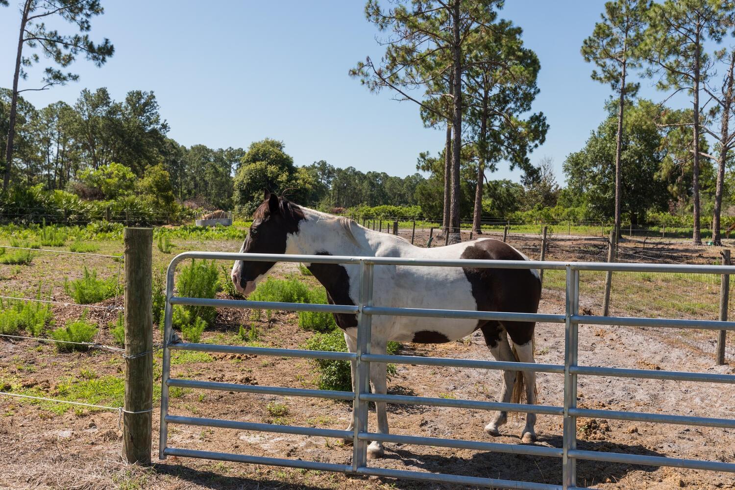 108 SECRETARY TRL #1 & 2, PALM COAST, FL, 32164