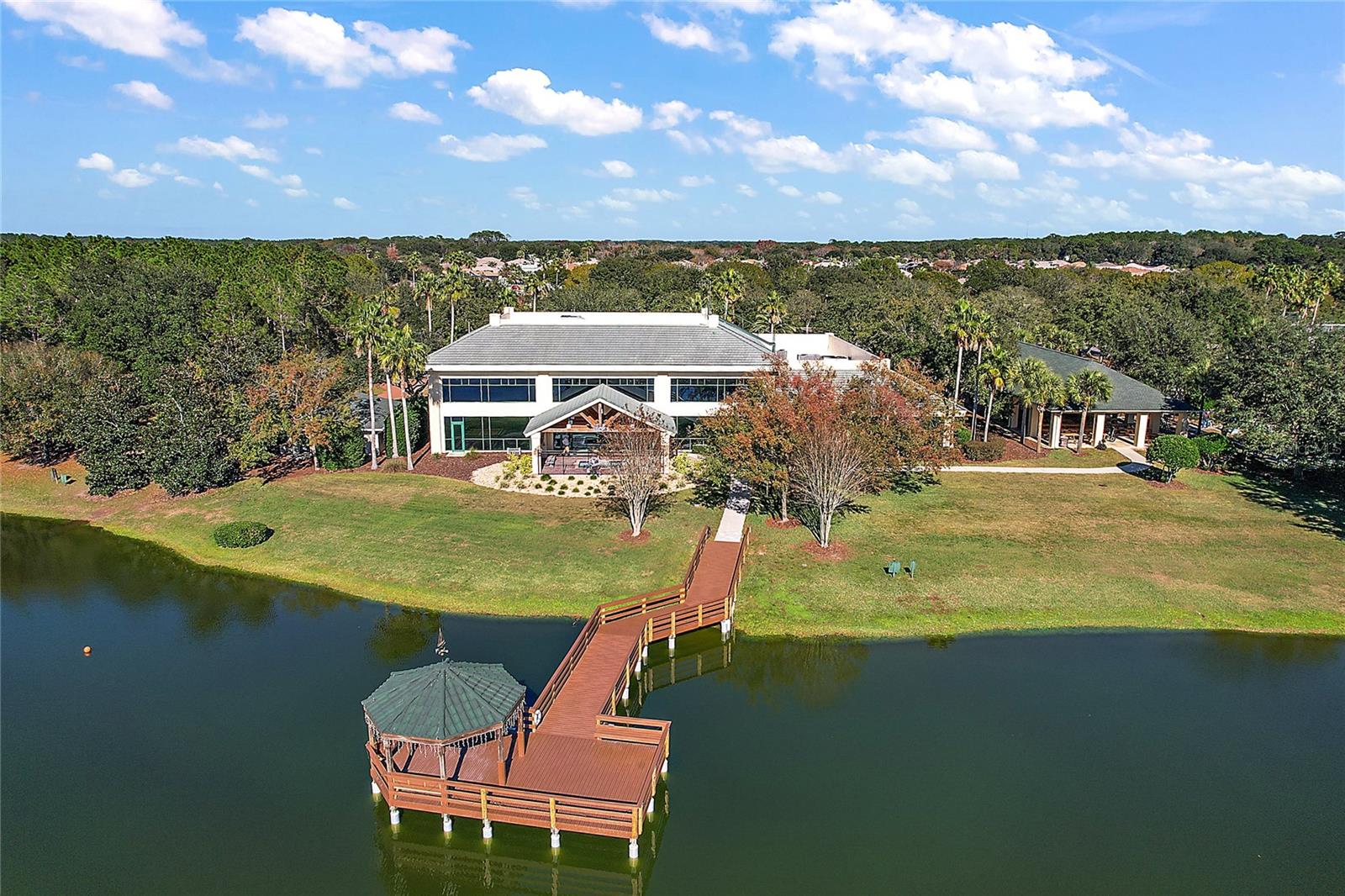 13981 SE 86TH CIR, SUMMERFIELD, FL, 34491