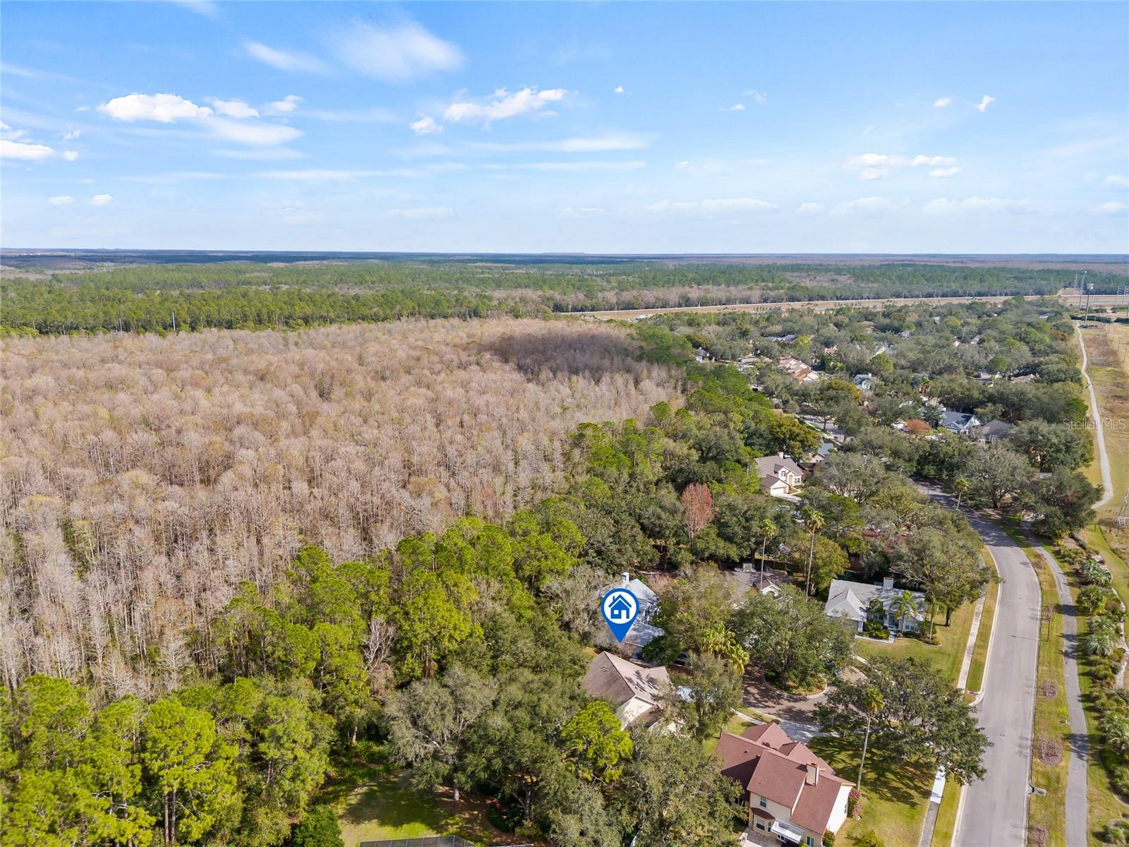 16104 STOWE CT, TAMPA, FL, 33647