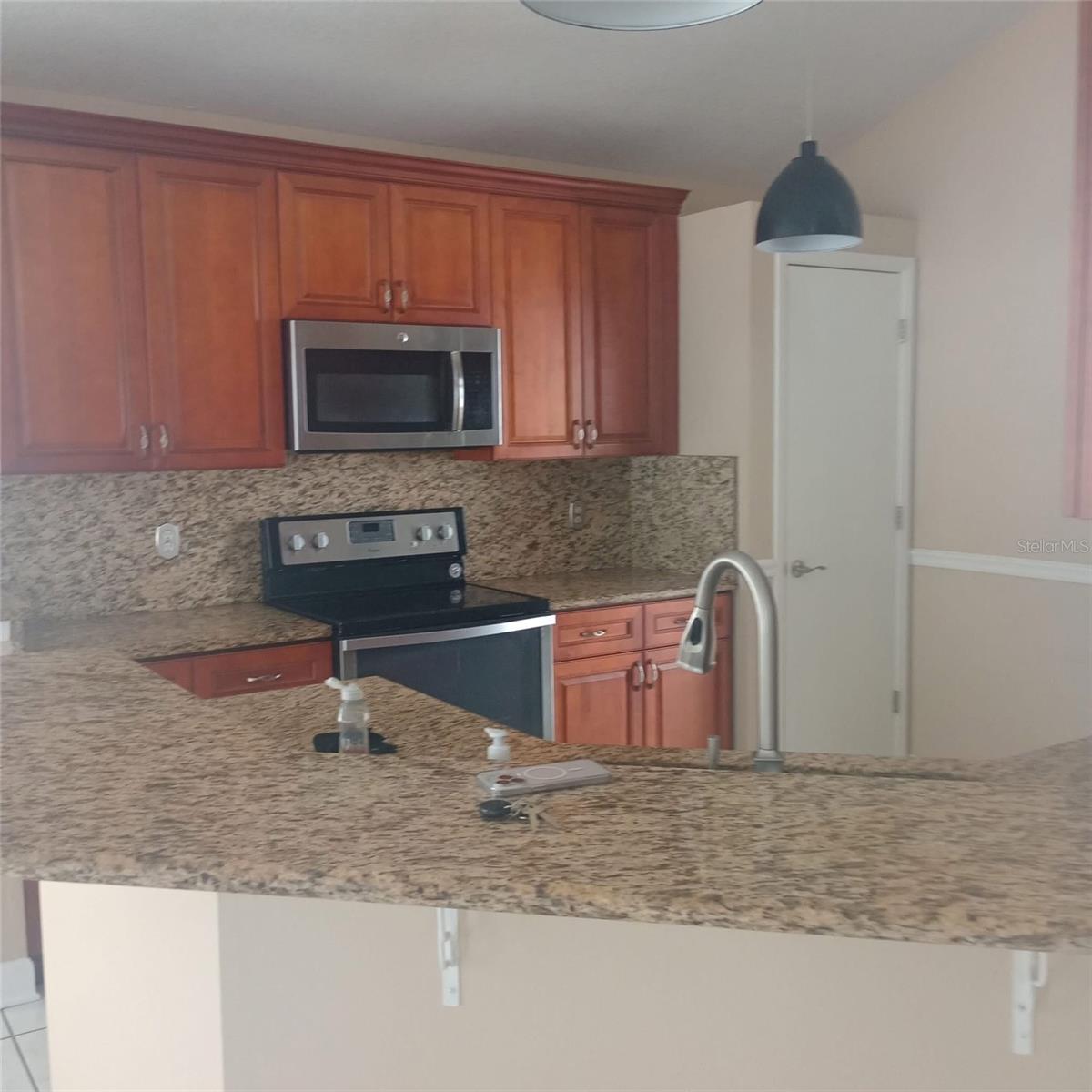 12623 RINGWOOD AVE, ORLANDO, FL, 32837