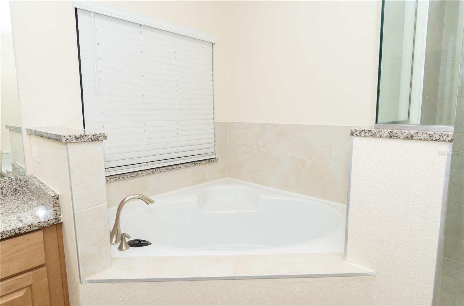 9018 VERONA SOUND WAY, ORLANDO, FL, 32829