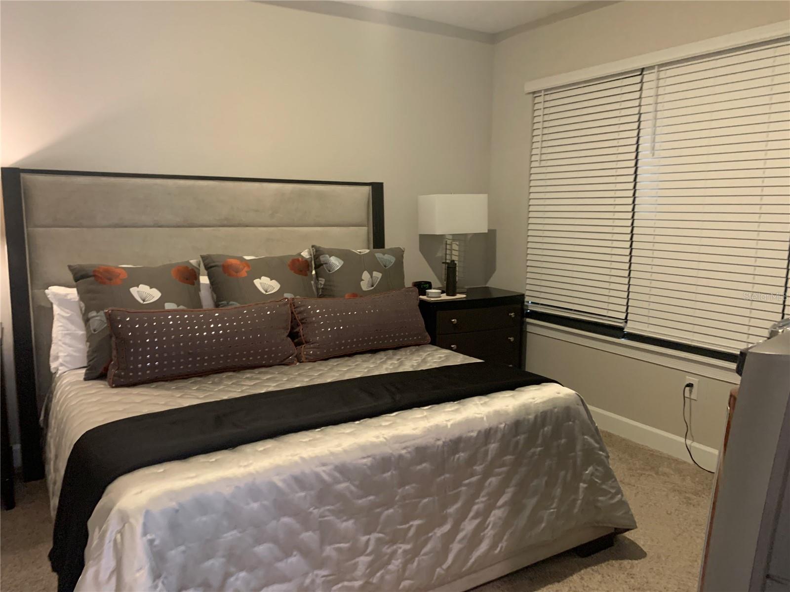 4576 GAROFALO RD, WESLEY CHAPEL, FL, 33543