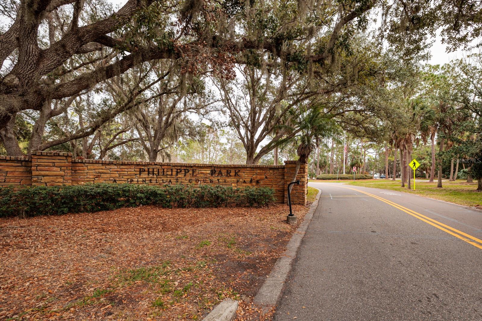 407 BAY VIEW ST, SAFETY HARBOR, FL, 34695