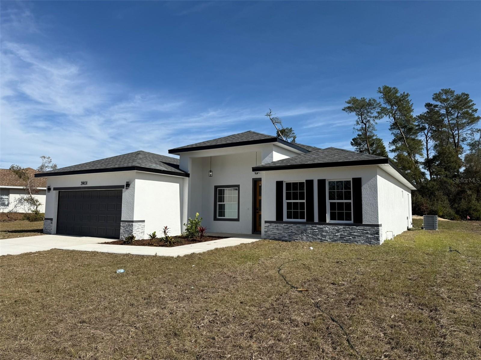3901 SW 161ST LOOP, OCALA, FL, 34473