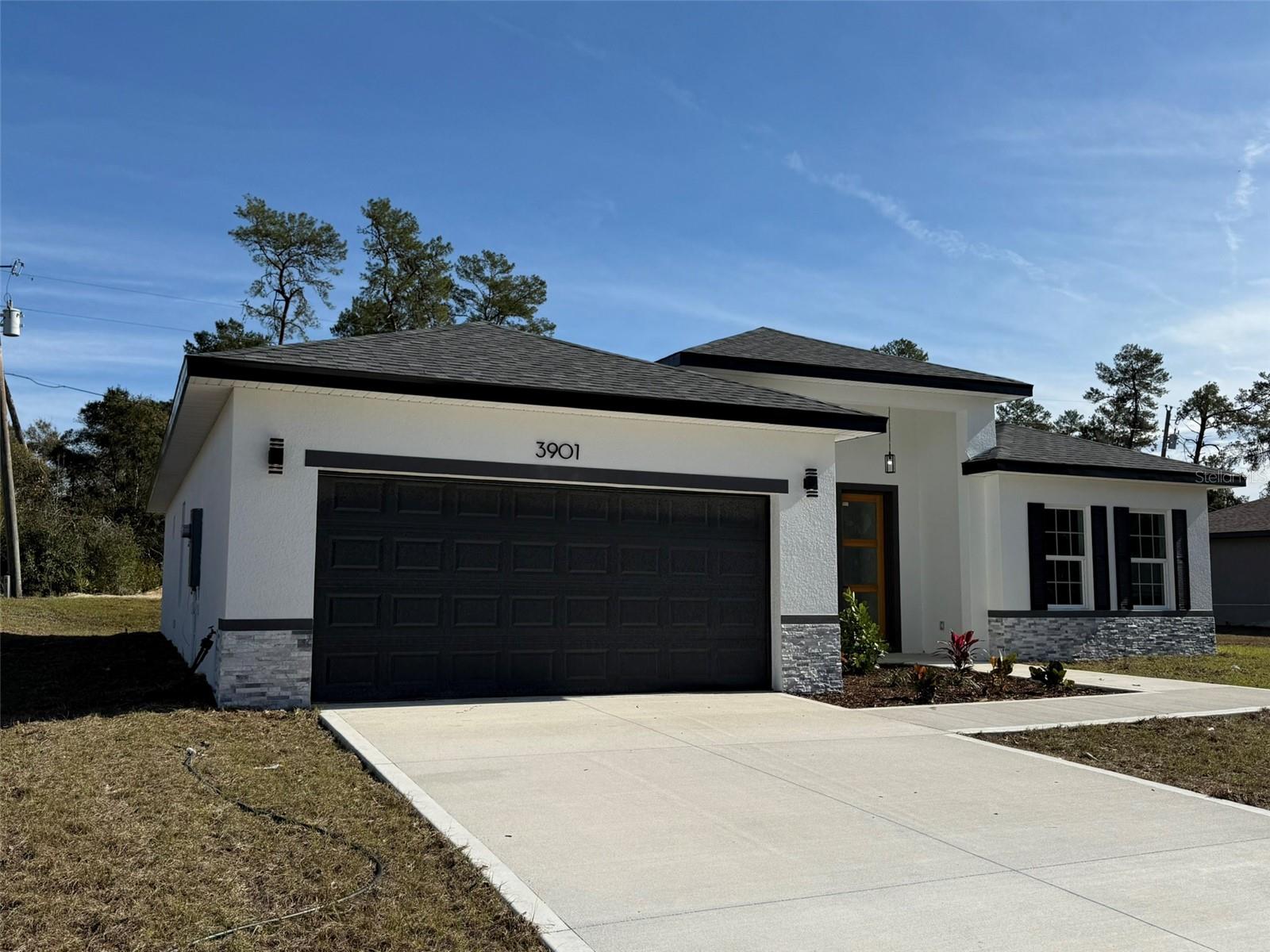 3901 SW 161ST LOOP, OCALA, FL, 34473