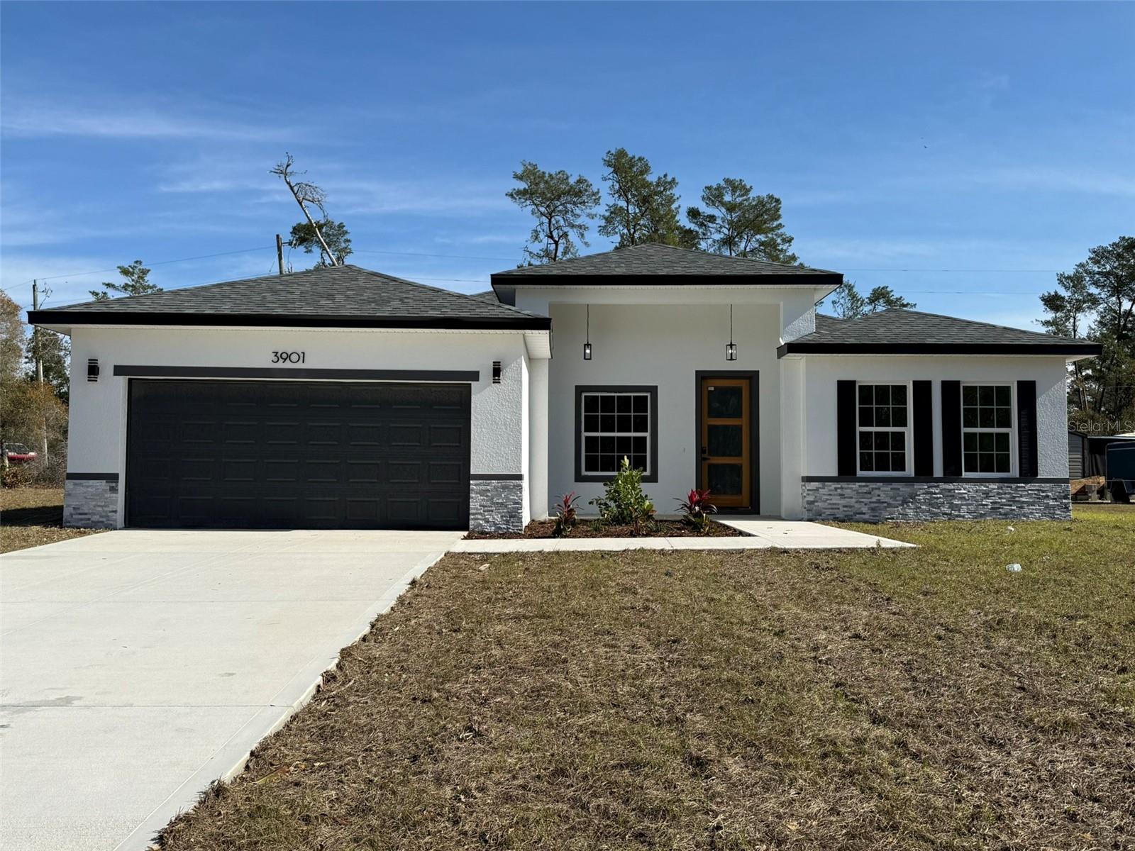 3901 SW 161ST LOOP, OCALA, FL, 34473