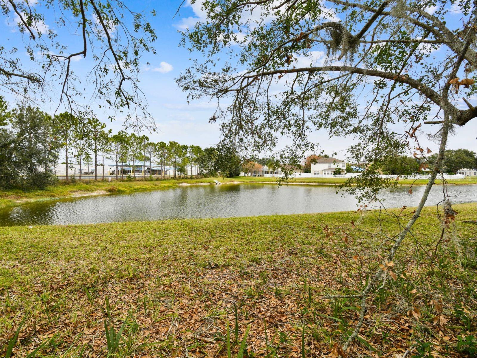 4920 STEEL DUST LN, LUTZ, FL, 33559