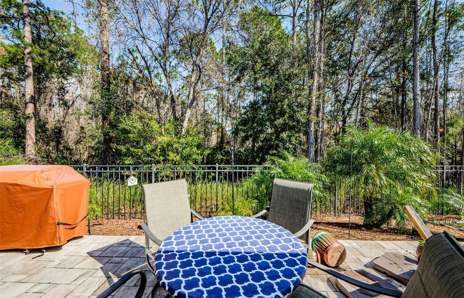 11036 PARADISE POINT WAY, NEW PORT RICHEY, FL, 34654