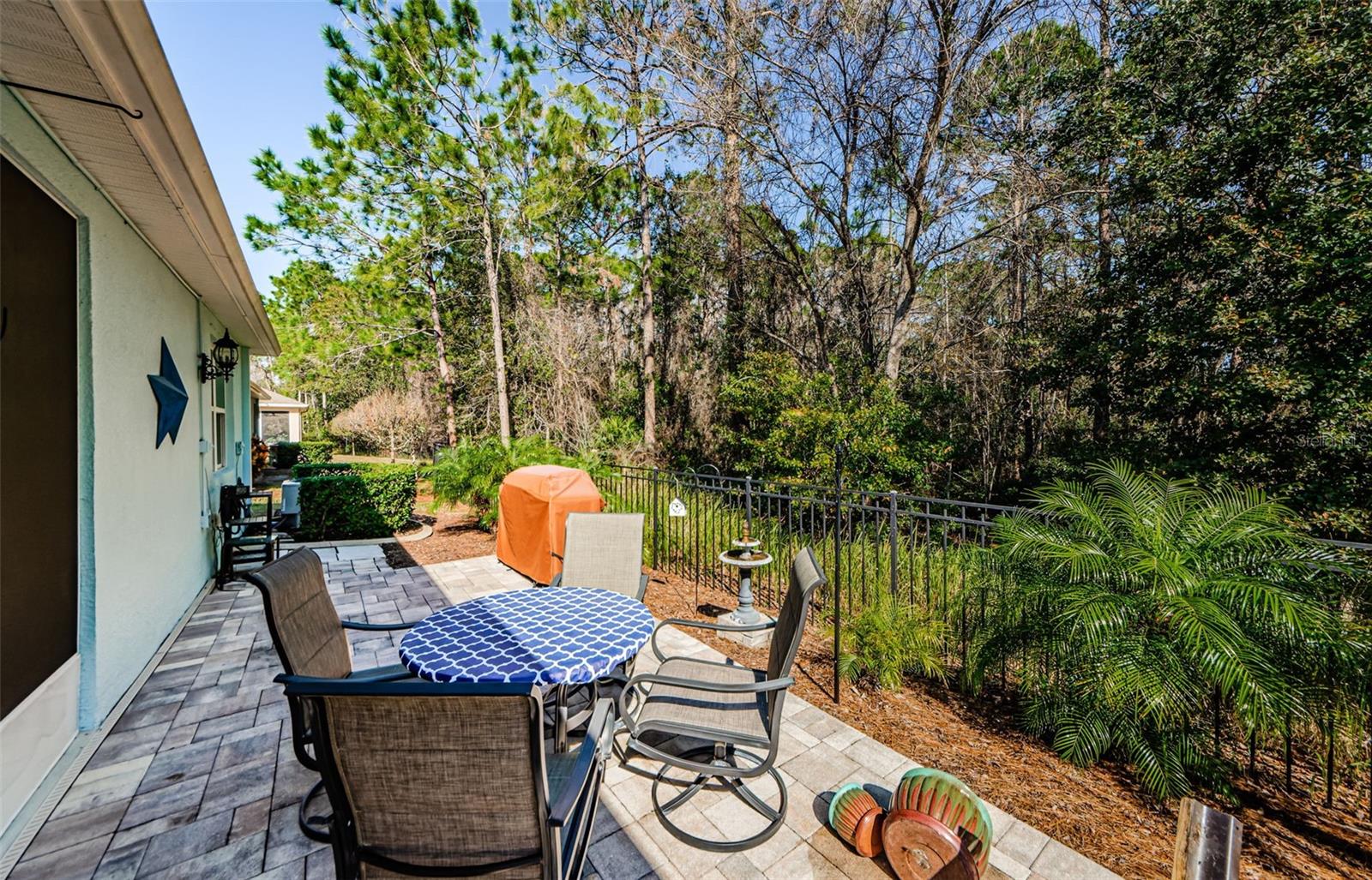 11036 PARADISE POINT WAY, NEW PORT RICHEY, FL, 34654