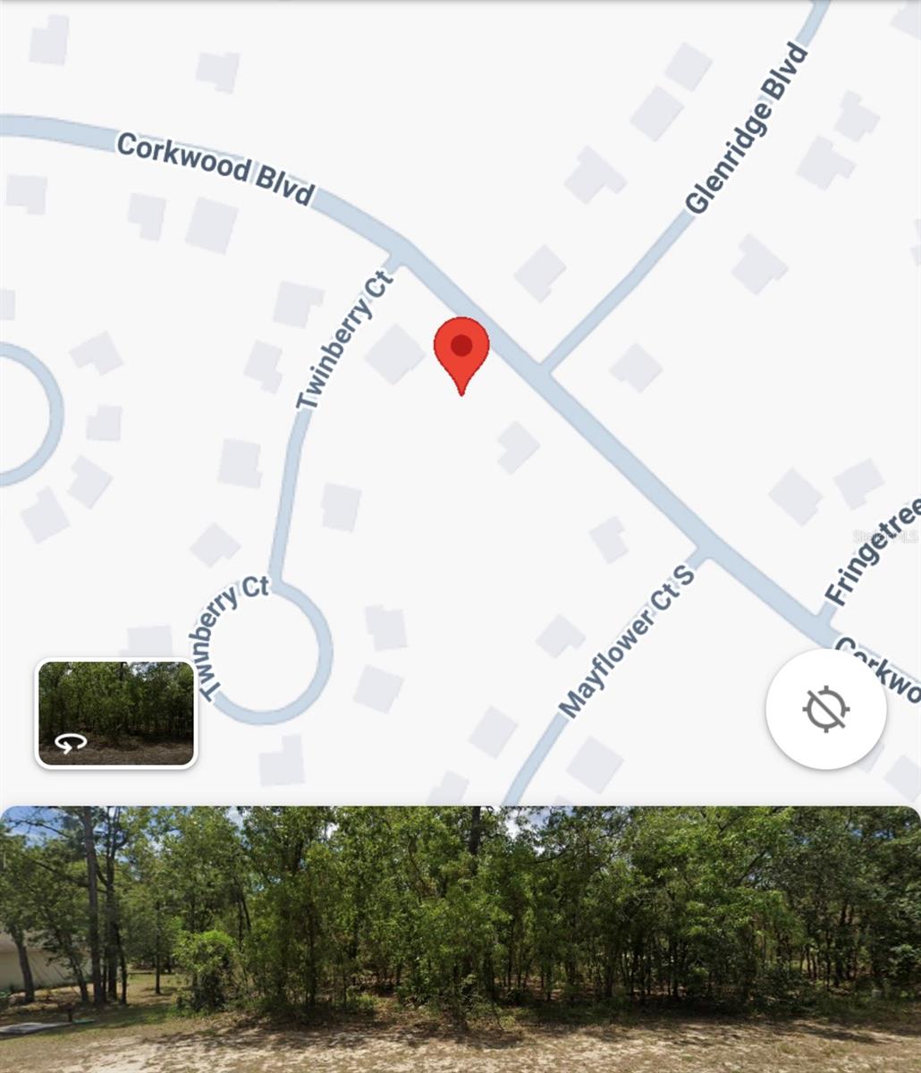 69 CORKWOOD BLVD, HOMOSASSA, FL, 34446