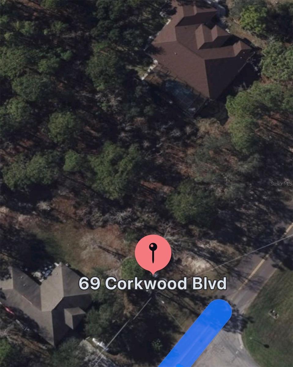 69 CORKWOOD BLVD, HOMOSASSA, FL, 34446
