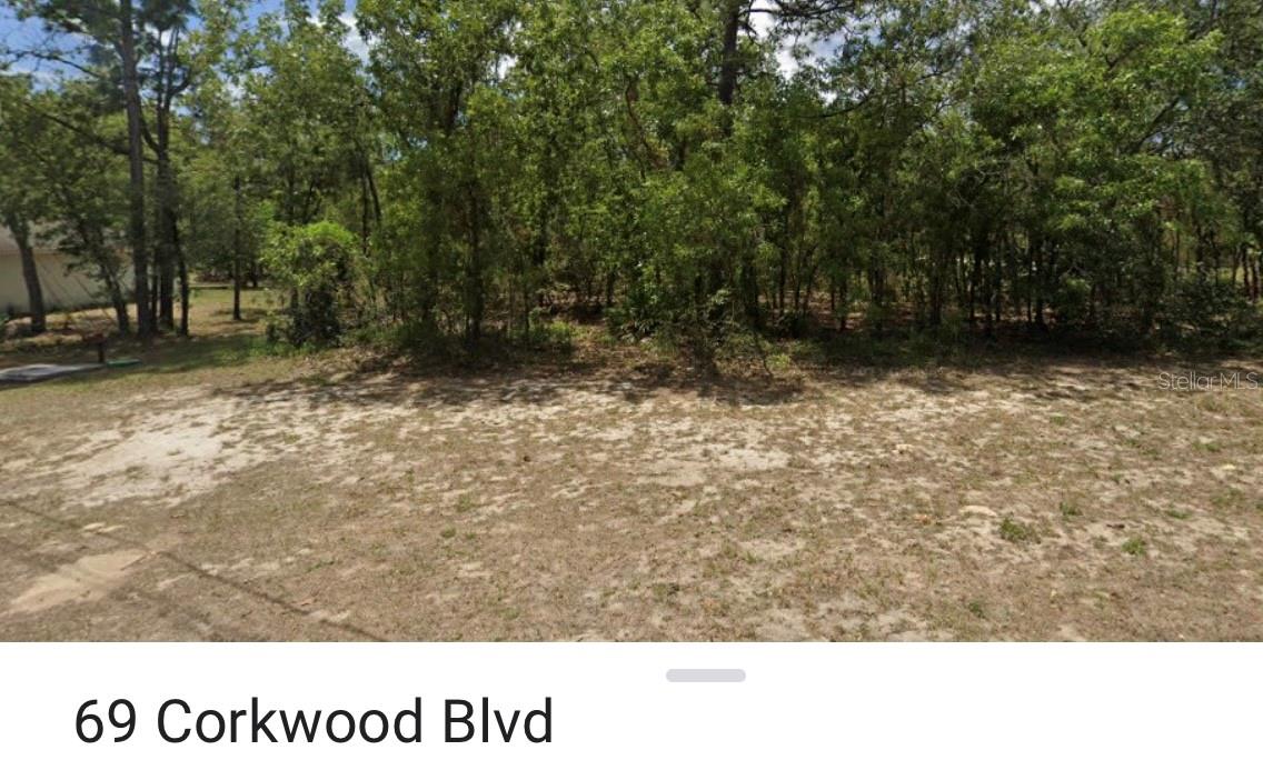 69 CORKWOOD BLVD, HOMOSASSA, FL, 34446