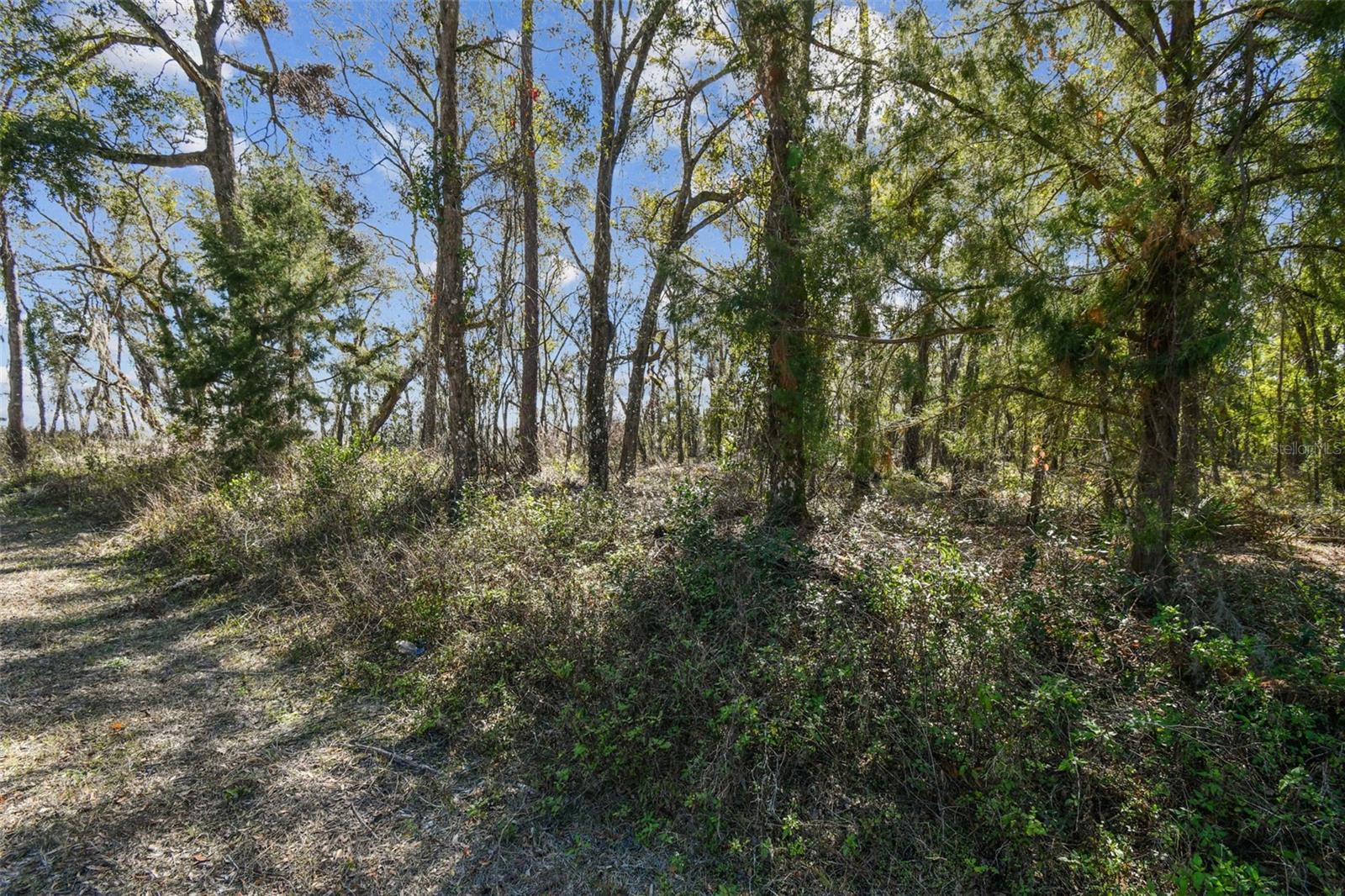 MCKETHAN RD, DADE CITY, FL, 33523
