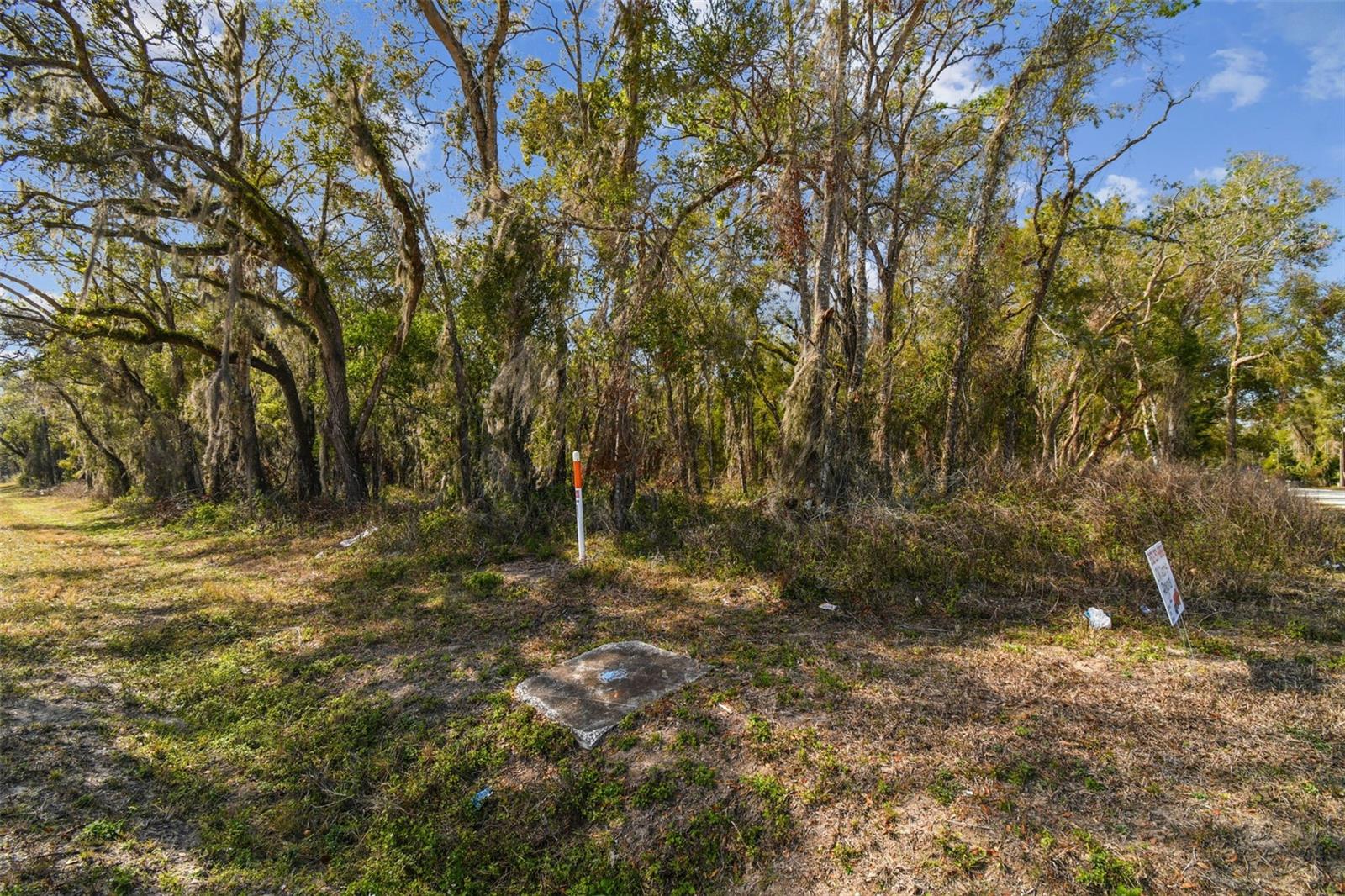 MCKETHAN RD, DADE CITY, FL, 33523