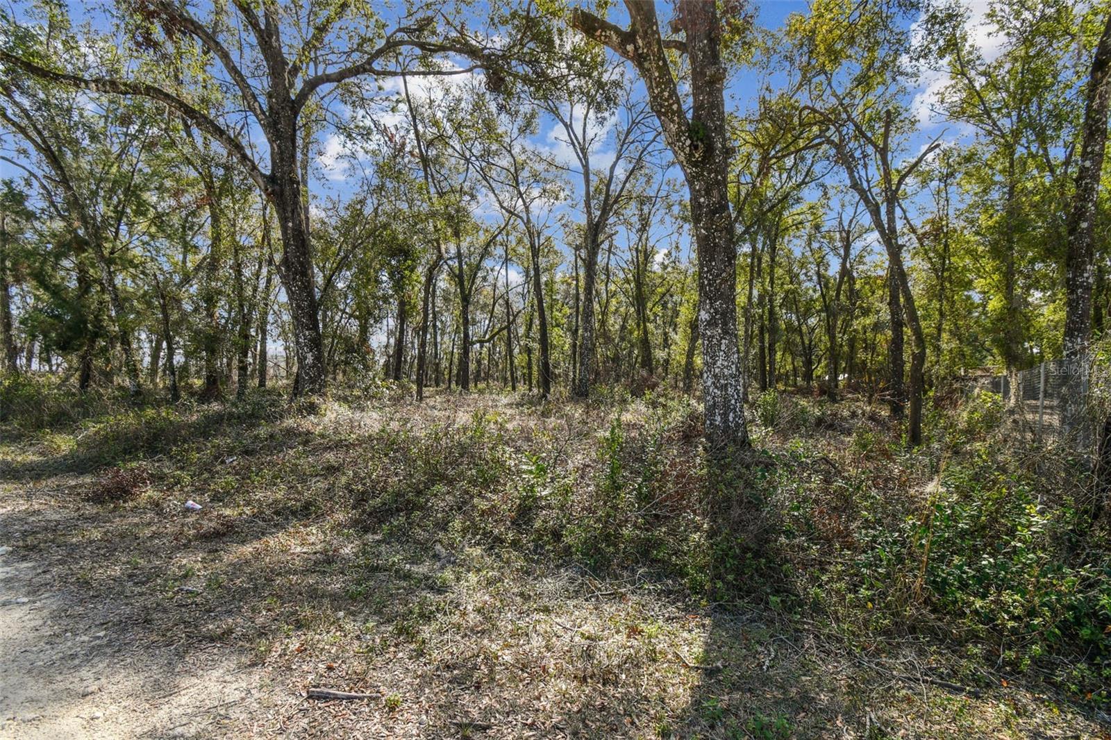 MCKETHAN RD, DADE CITY, FL, 33523