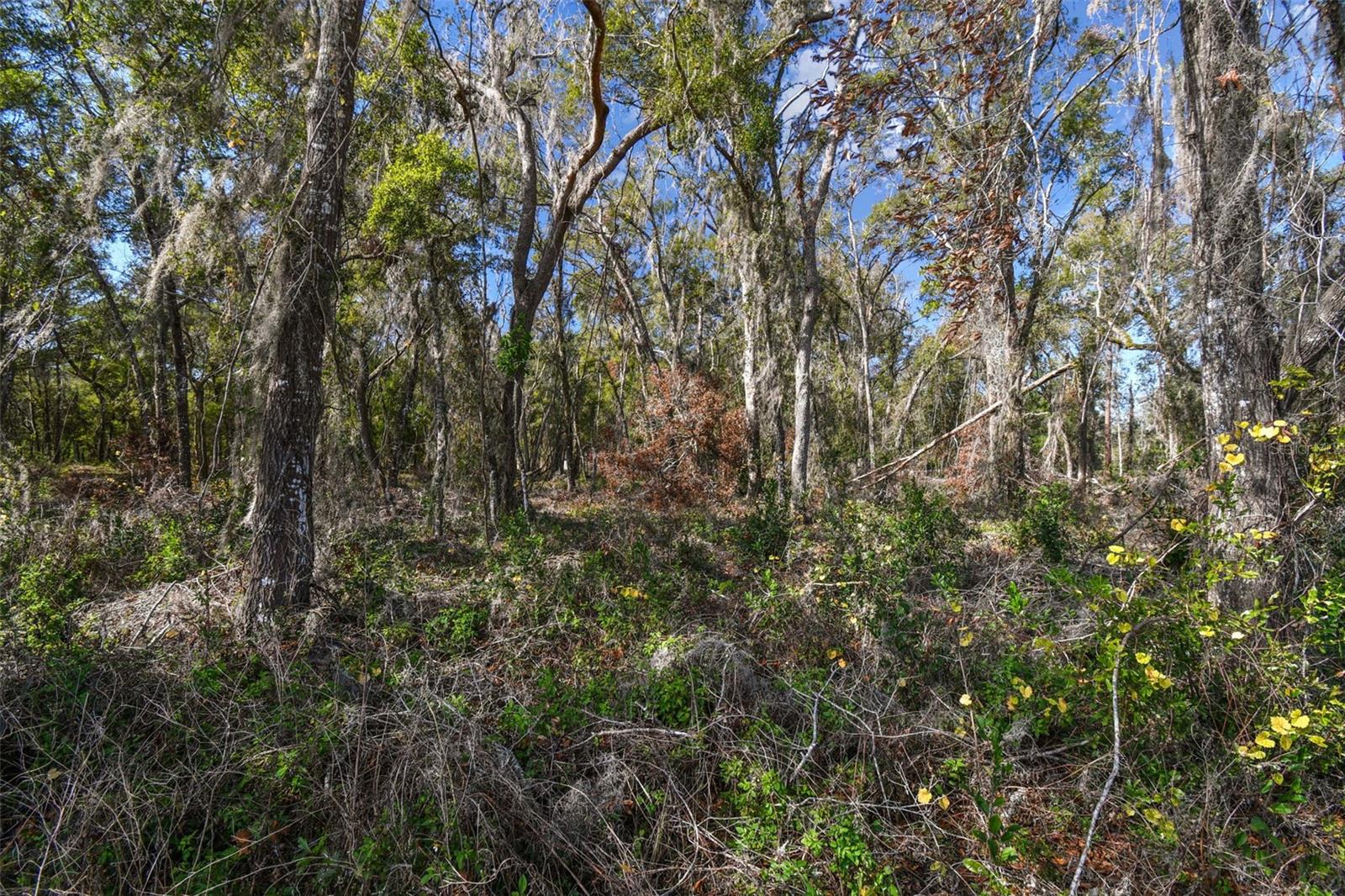 MCKETHAN RD, DADE CITY, FL, 33523