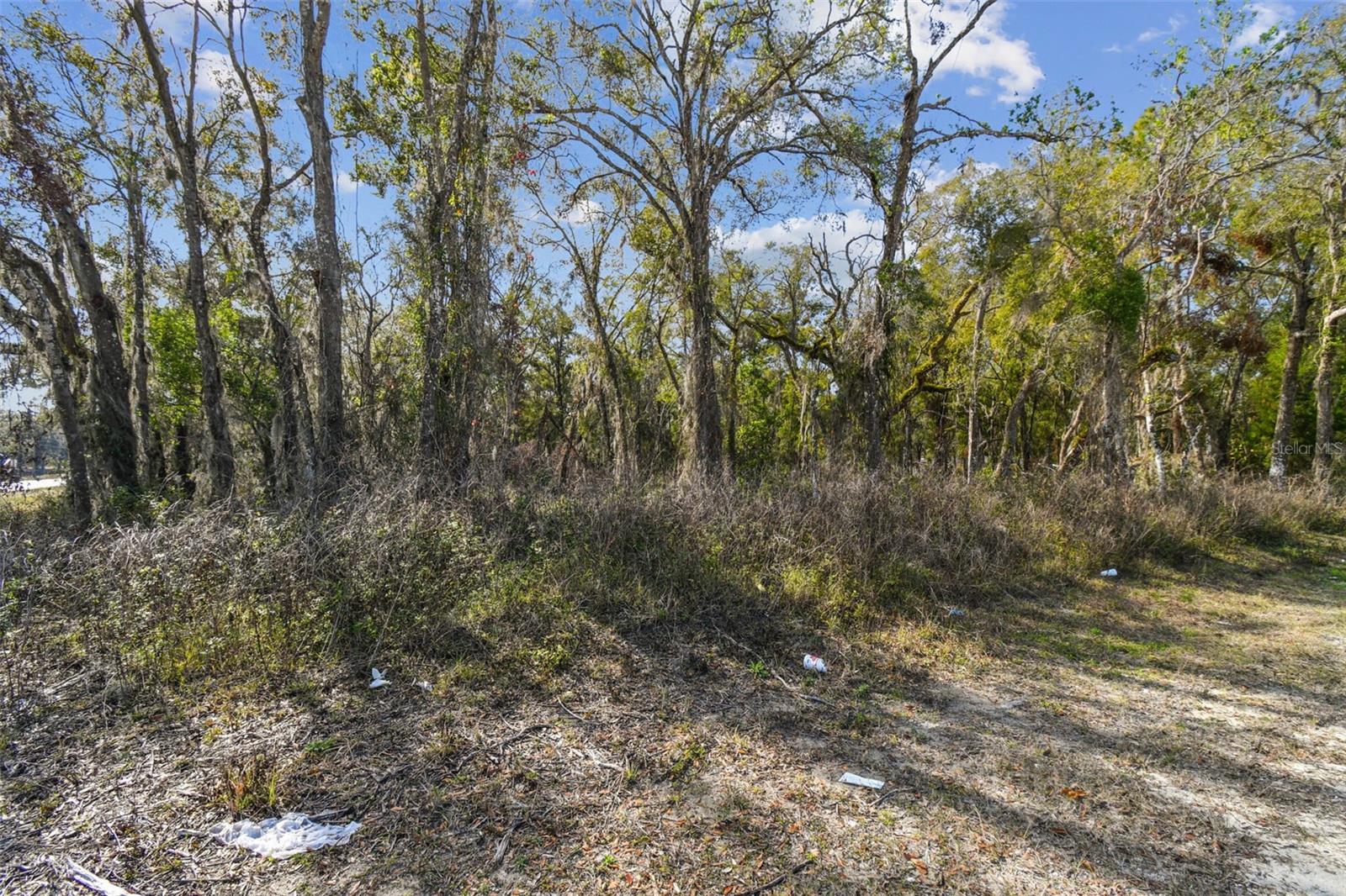 MCKETHAN RD, DADE CITY, FL, 33523