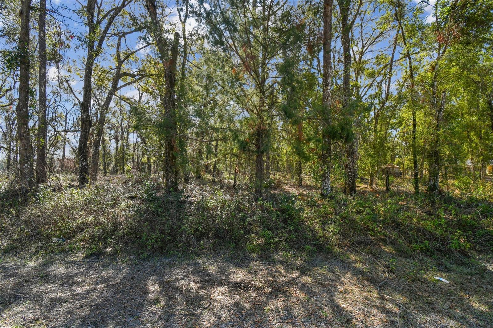 MCKETHAN RD, DADE CITY, FL, 33523