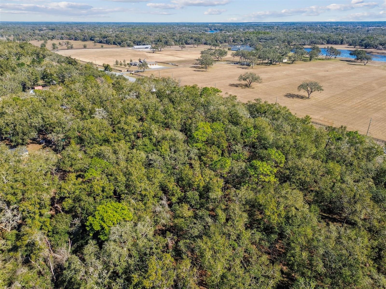 MCKETHAN RD, DADE CITY, FL, 33523