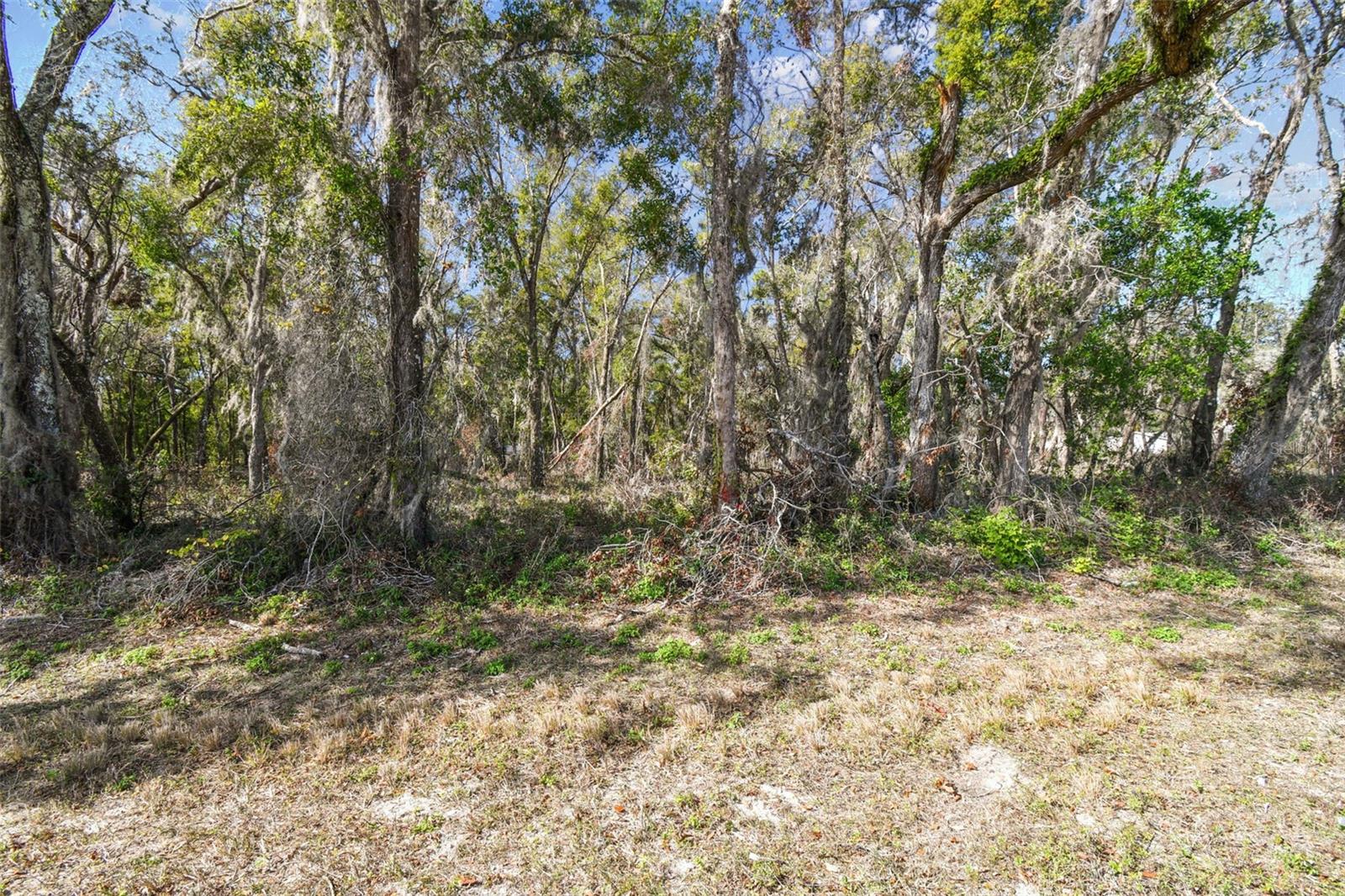 MCKETHAN RD, DADE CITY, FL, 33523