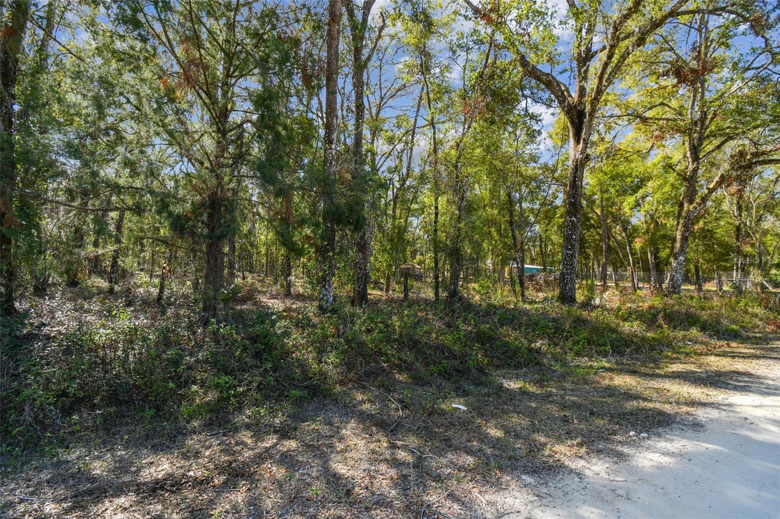 MCKETHAN RD, DADE CITY, FL, 33523
