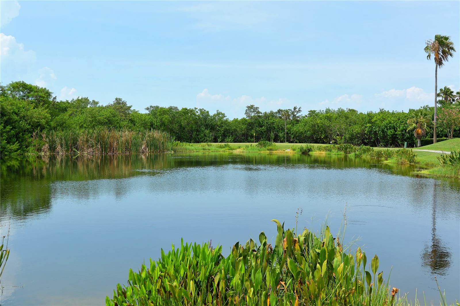 2906 CAPTAINS CT, PALMETTO, FL, 34221