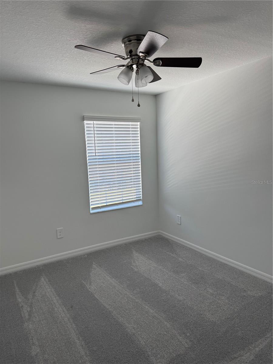 11091 WISHING CLOUD RD, LAND O LAKES, FL, 34638