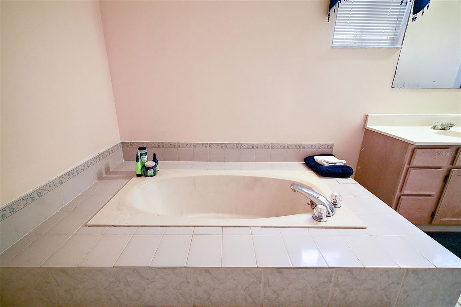 34245 ROSA LN, FRUITLAND PARK, FL, 34731