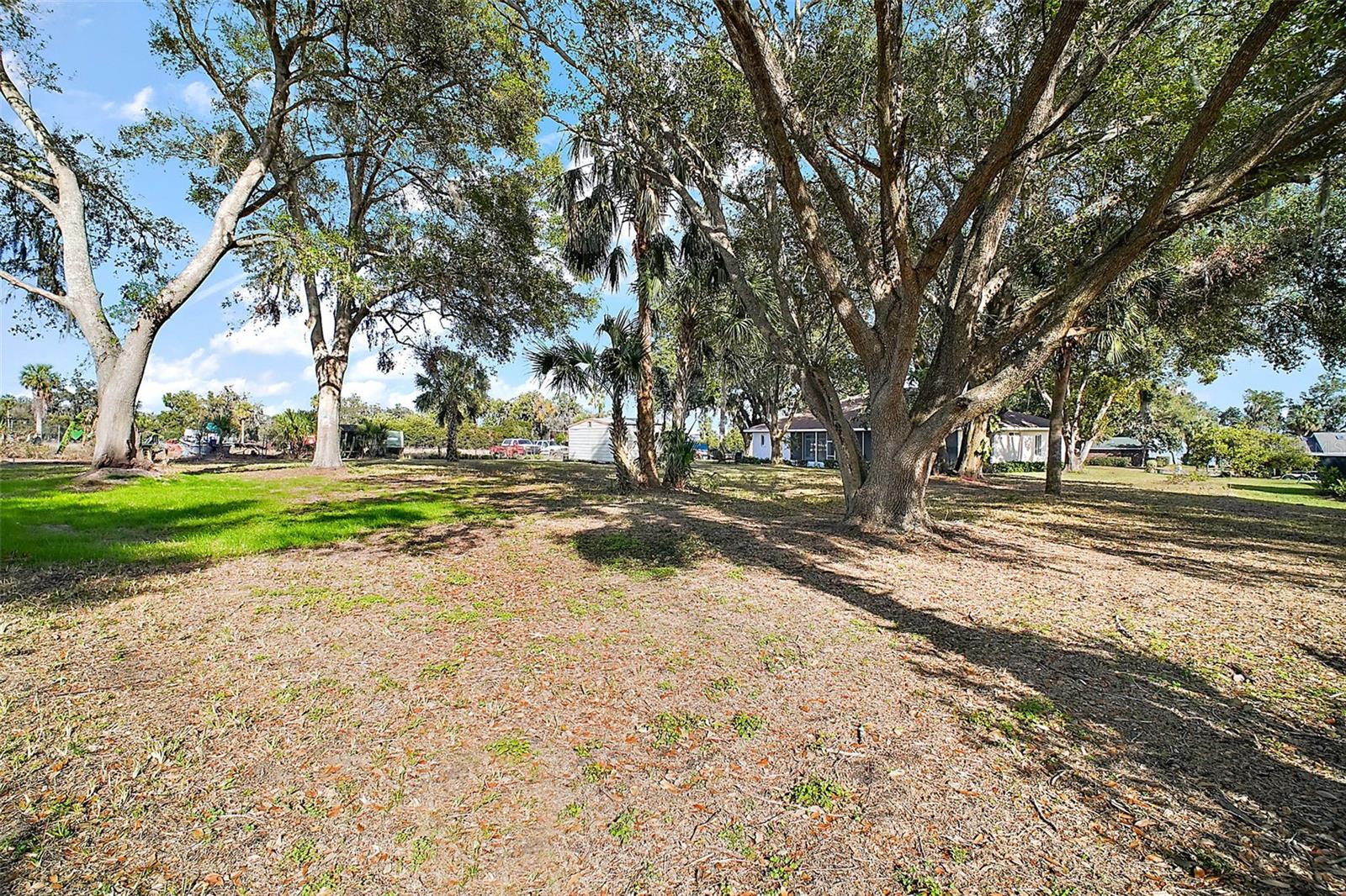 34245 ROSA LN, FRUITLAND PARK, FL, 34731