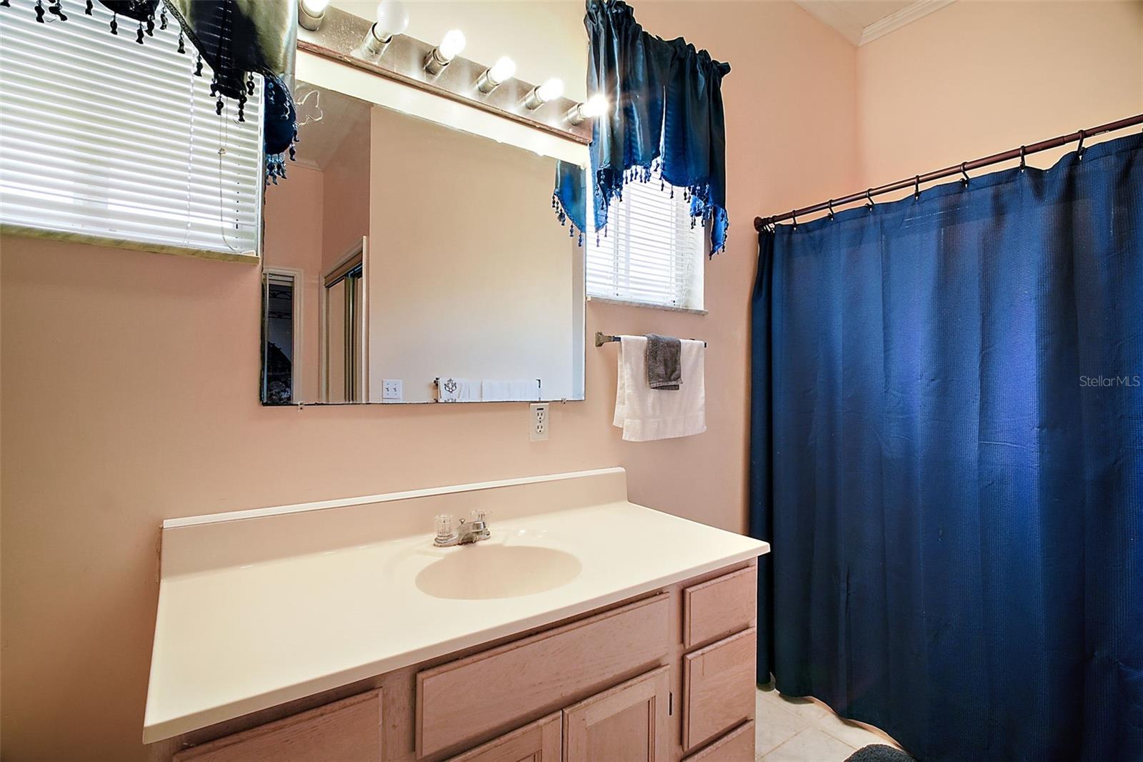 34245 ROSA LN, FRUITLAND PARK, FL, 34731