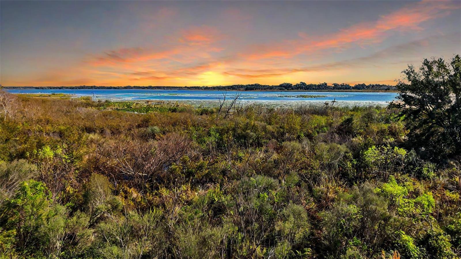 10173 LAKE MIONA WAY, OXFORD, FL, 34484