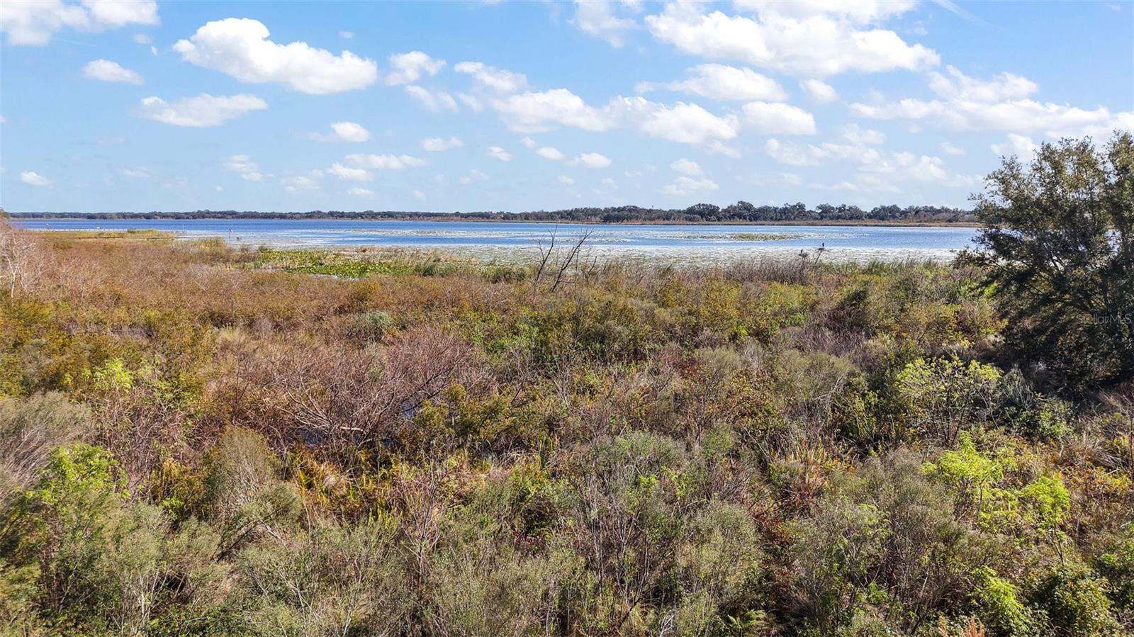 10173 LAKE MIONA WAY, OXFORD, FL, 34484