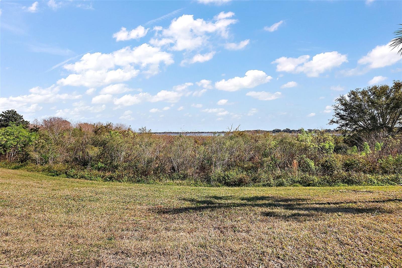 10173 LAKE MIONA WAY, OXFORD, FL, 34484