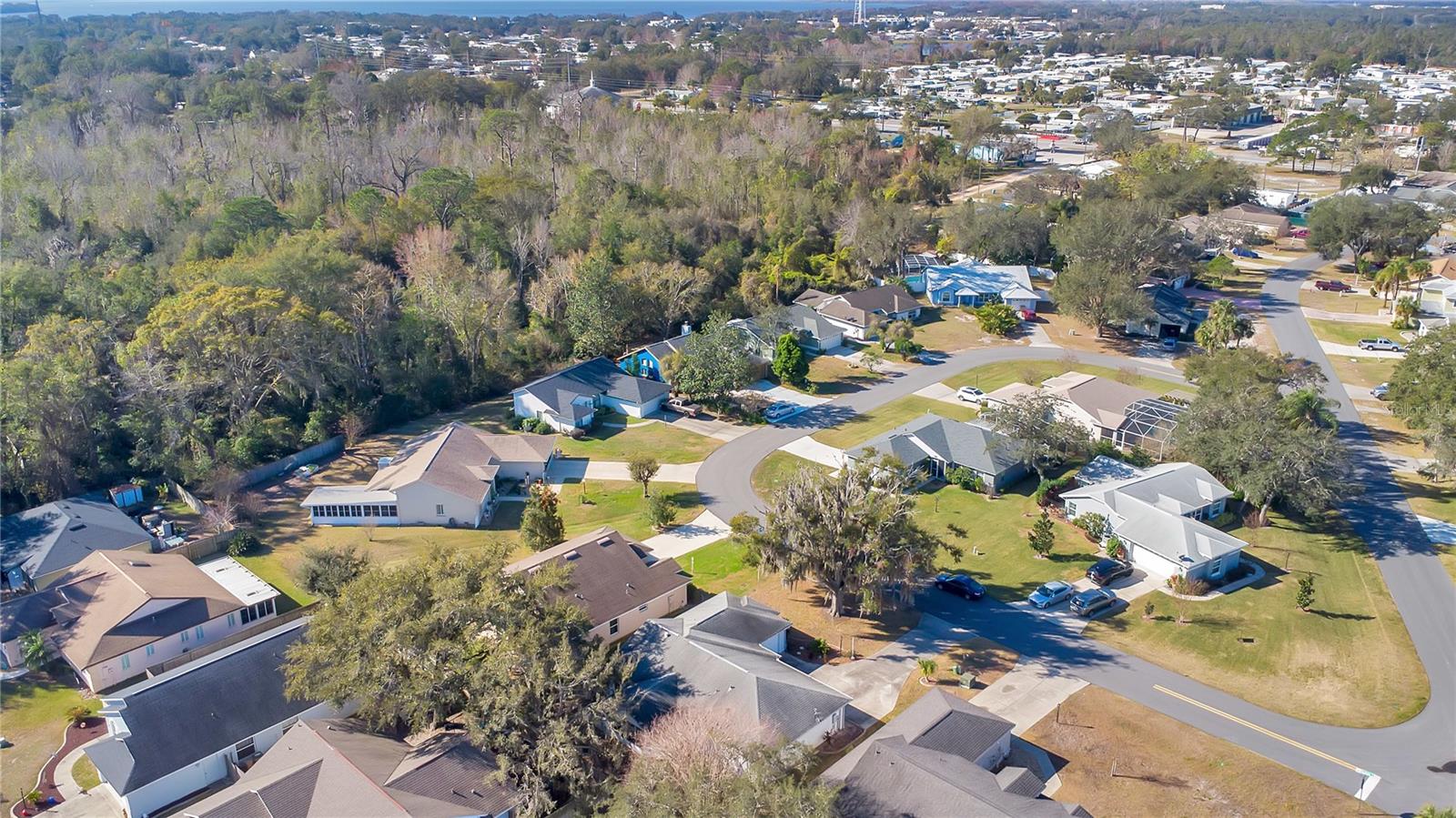 33352 FOUNTAIN LN, LEESBURG, FL, 34788