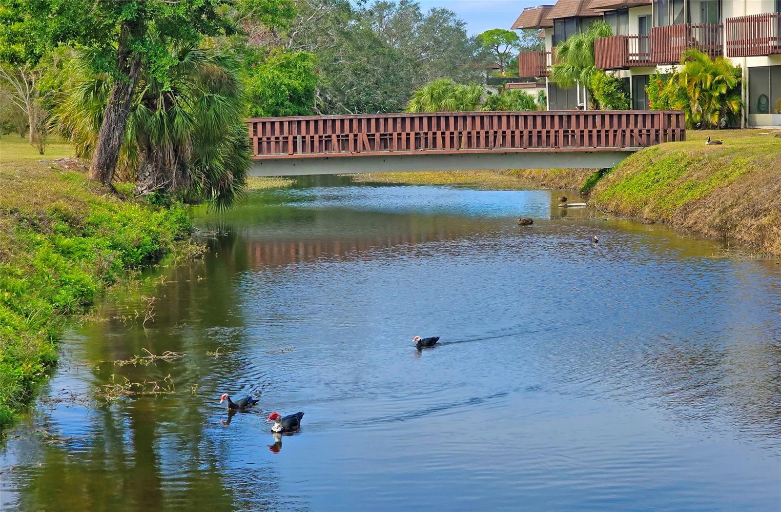 3333 RAMBLEWOOD CT, SARASOTA, FL, 34237