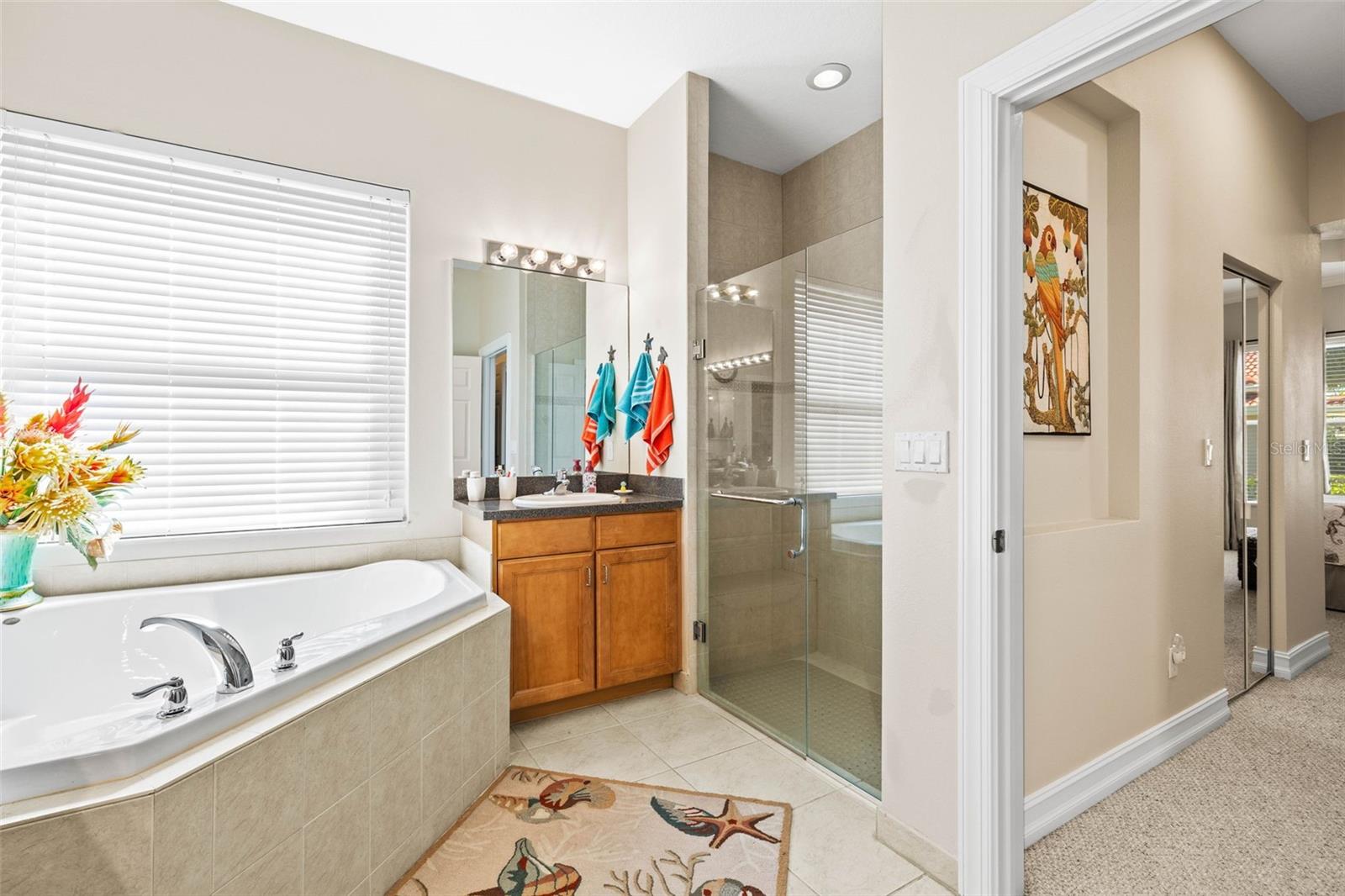 15767 CRYSTAL WATERS DR, WIMAUMA, FL, 33598