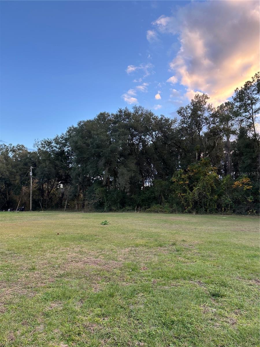 UNDETERMINED, CITRA, FL, 32113