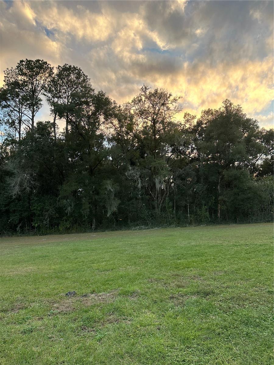 UNDETERMINED, CITRA, FL, 32113