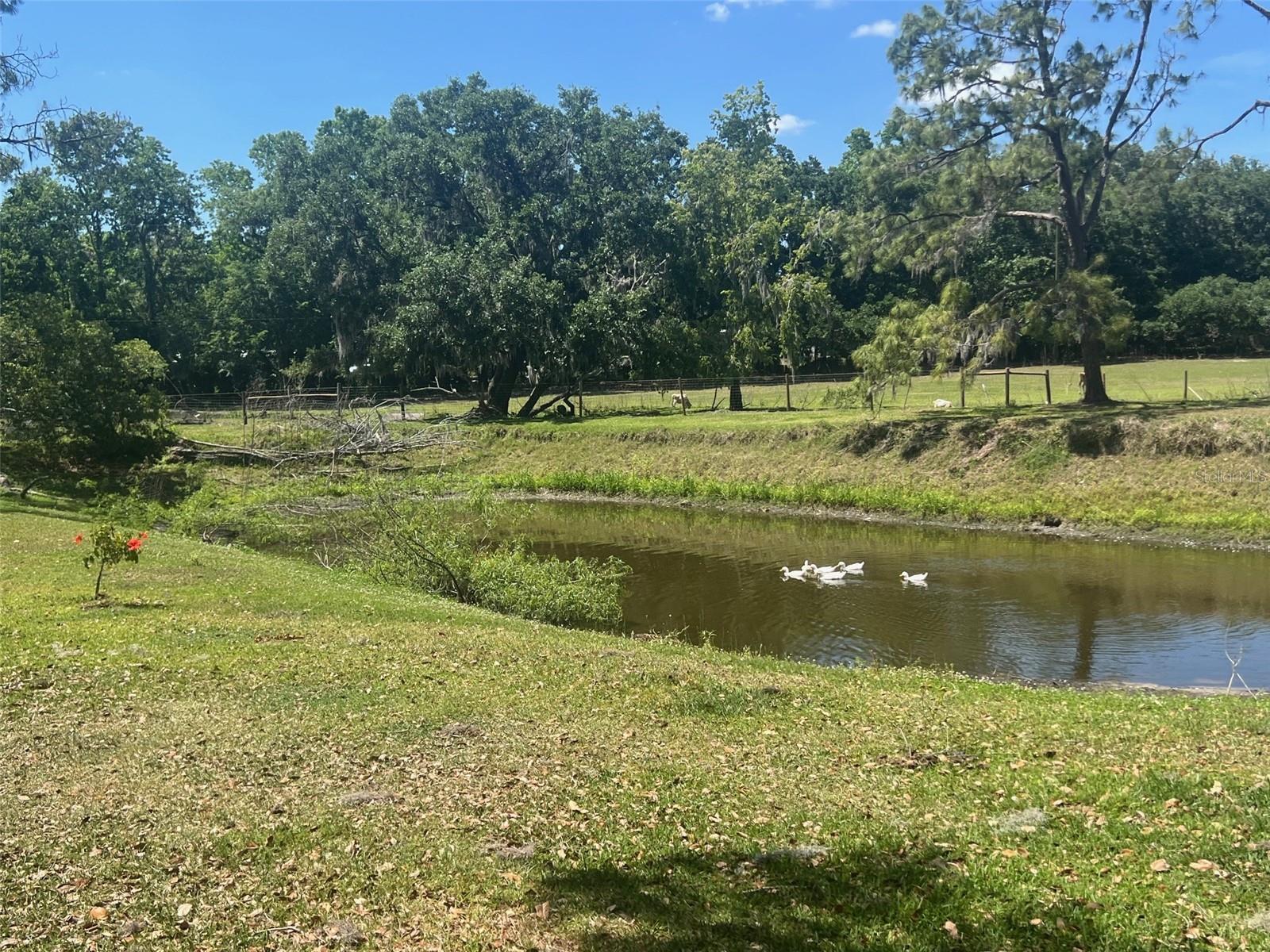 3009 JIM JOHNSON RD, PLANT CITY, FL, 33566