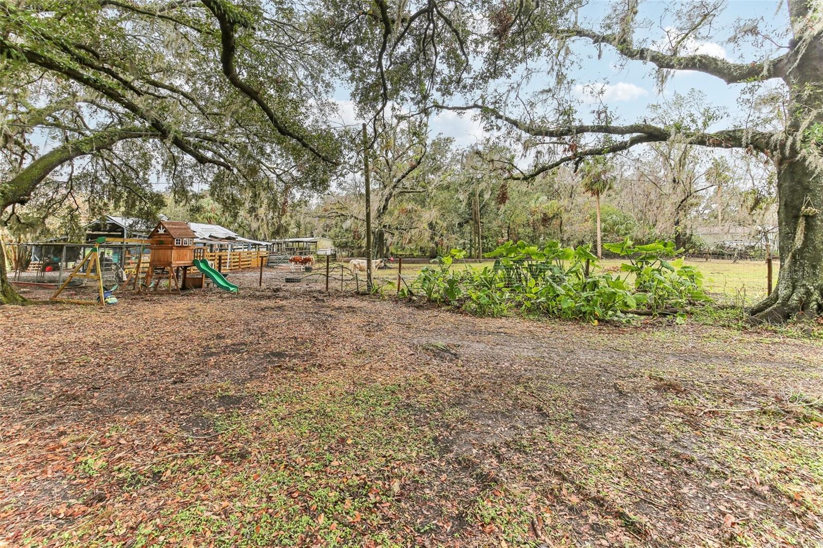 3009 JIM JOHNSON RD, PLANT CITY, FL, 33566