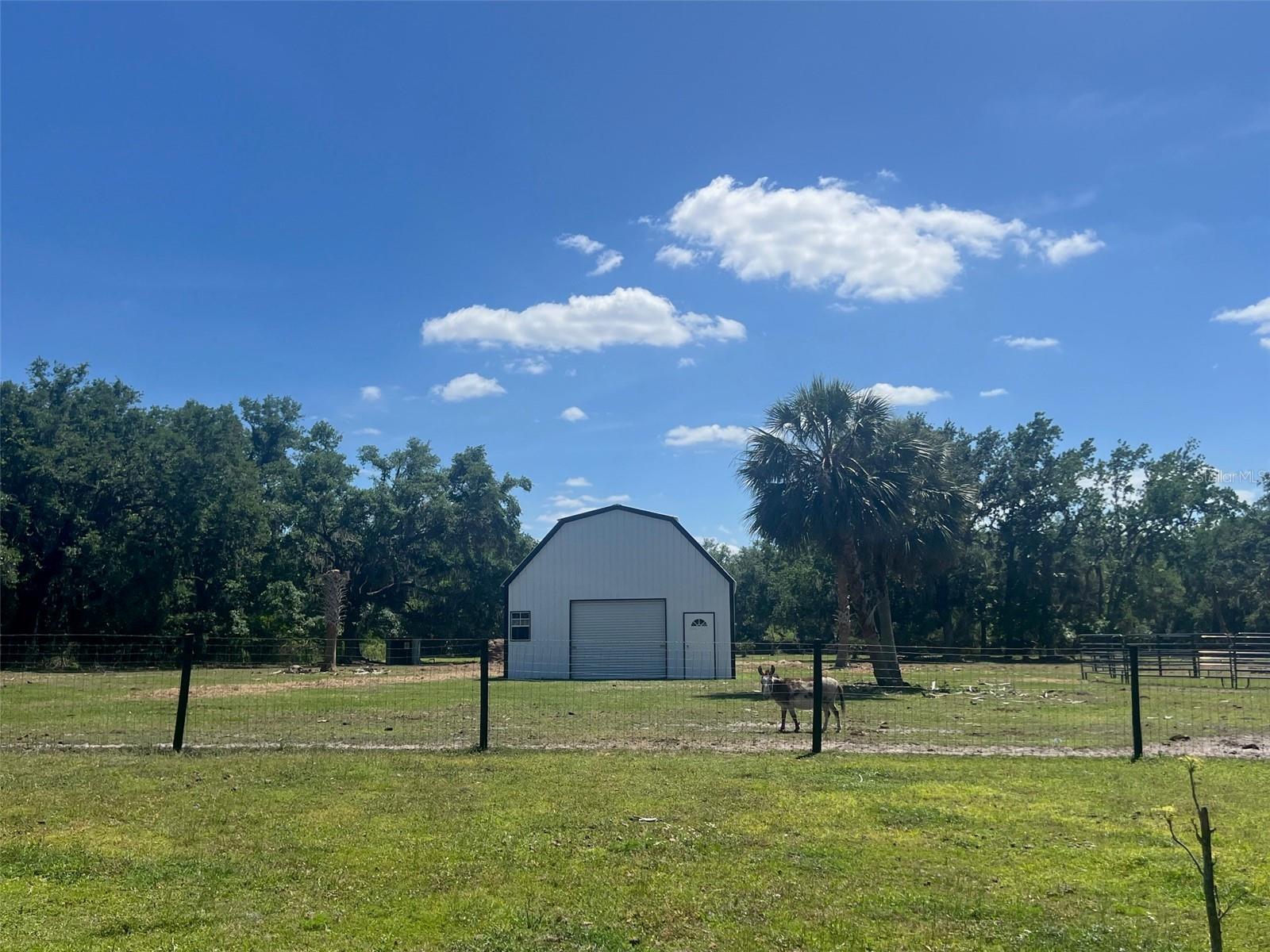3009 JIM JOHNSON RD, PLANT CITY, FL, 33566