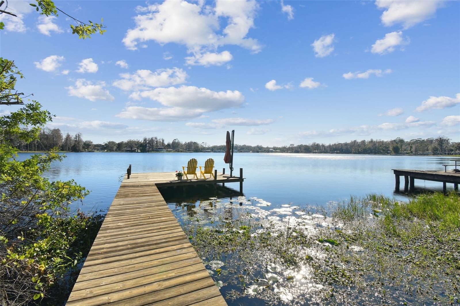 18803 15TH ST, LUTZ, FL, 33549