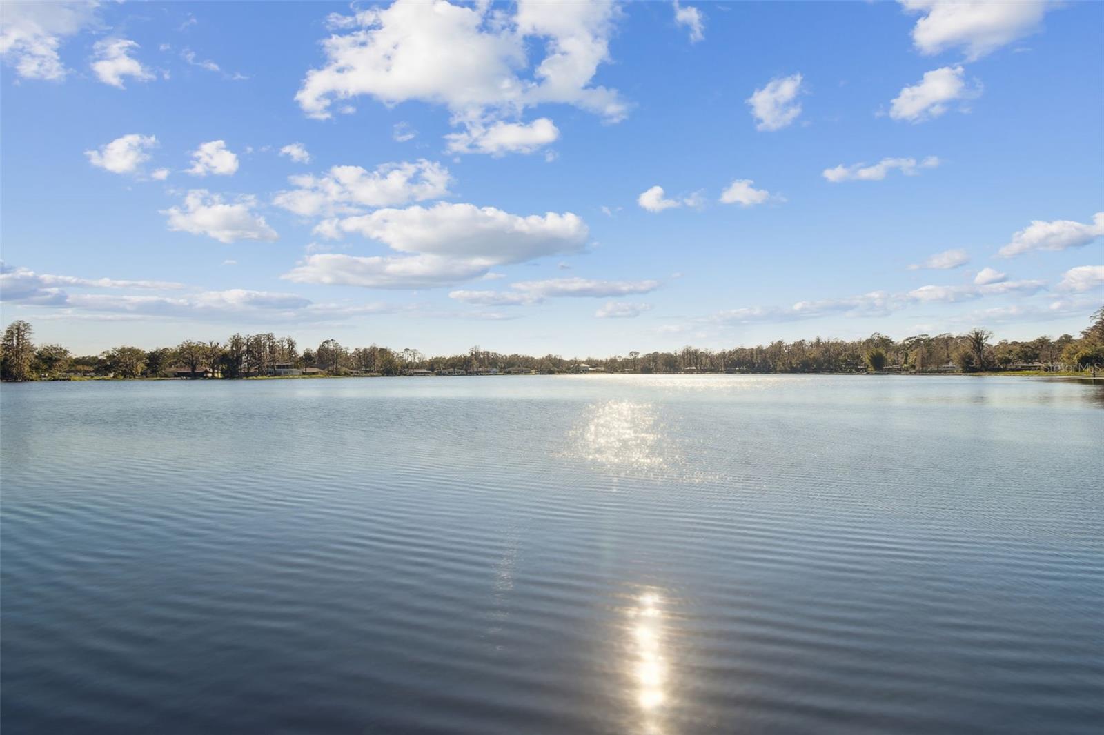 18803 15TH ST, LUTZ, FL, 33549