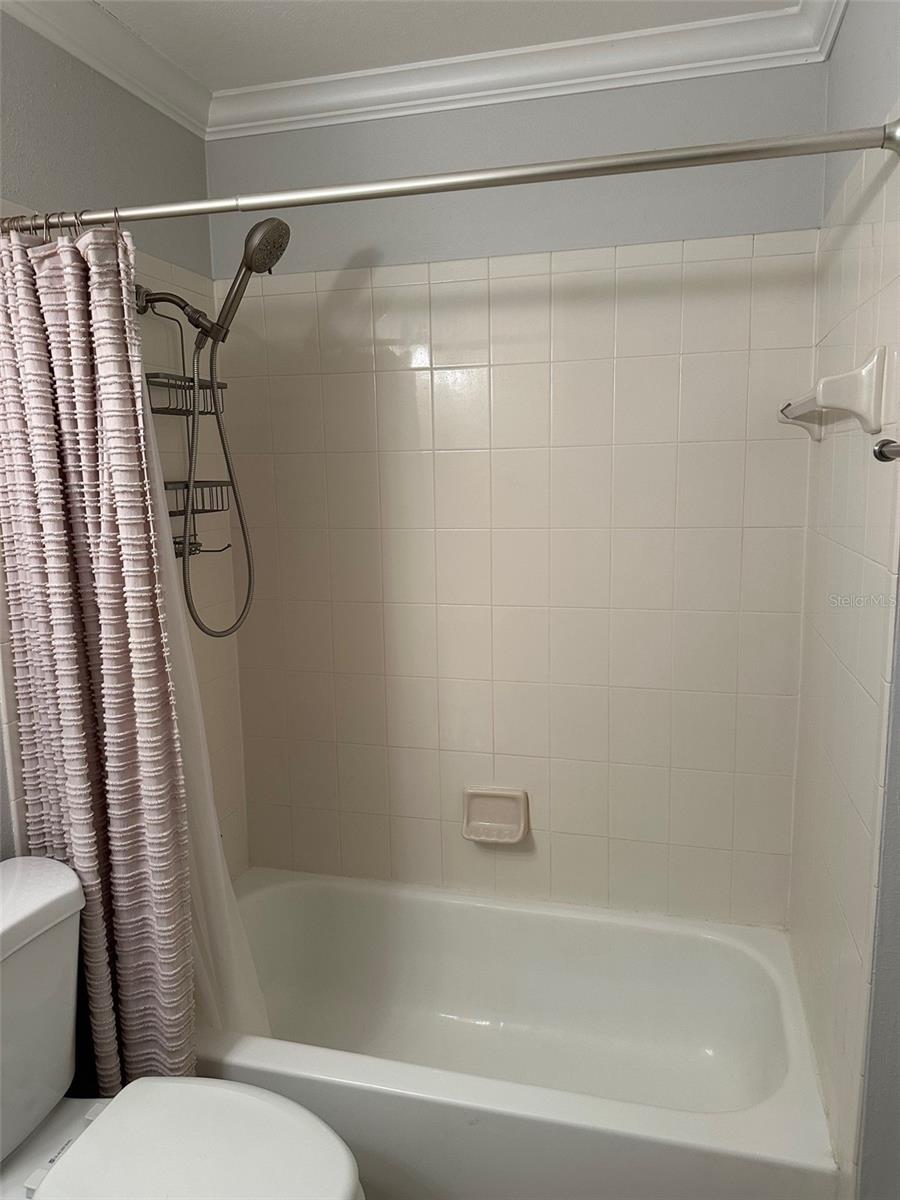 306 S HABANA AVE #7, TAMPA, FL, 33609
