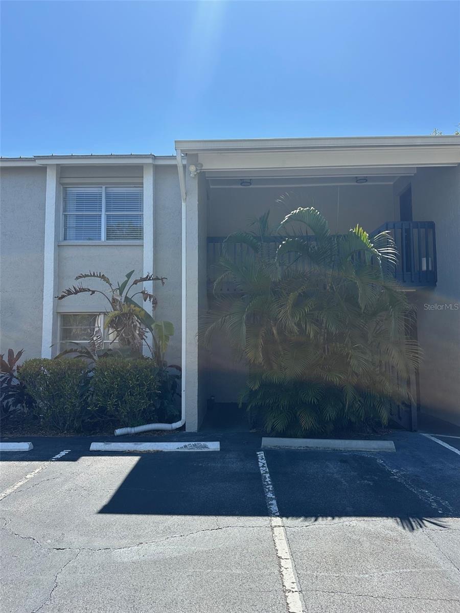 306 S HABANA AVE #7, TAMPA, FL, 33609