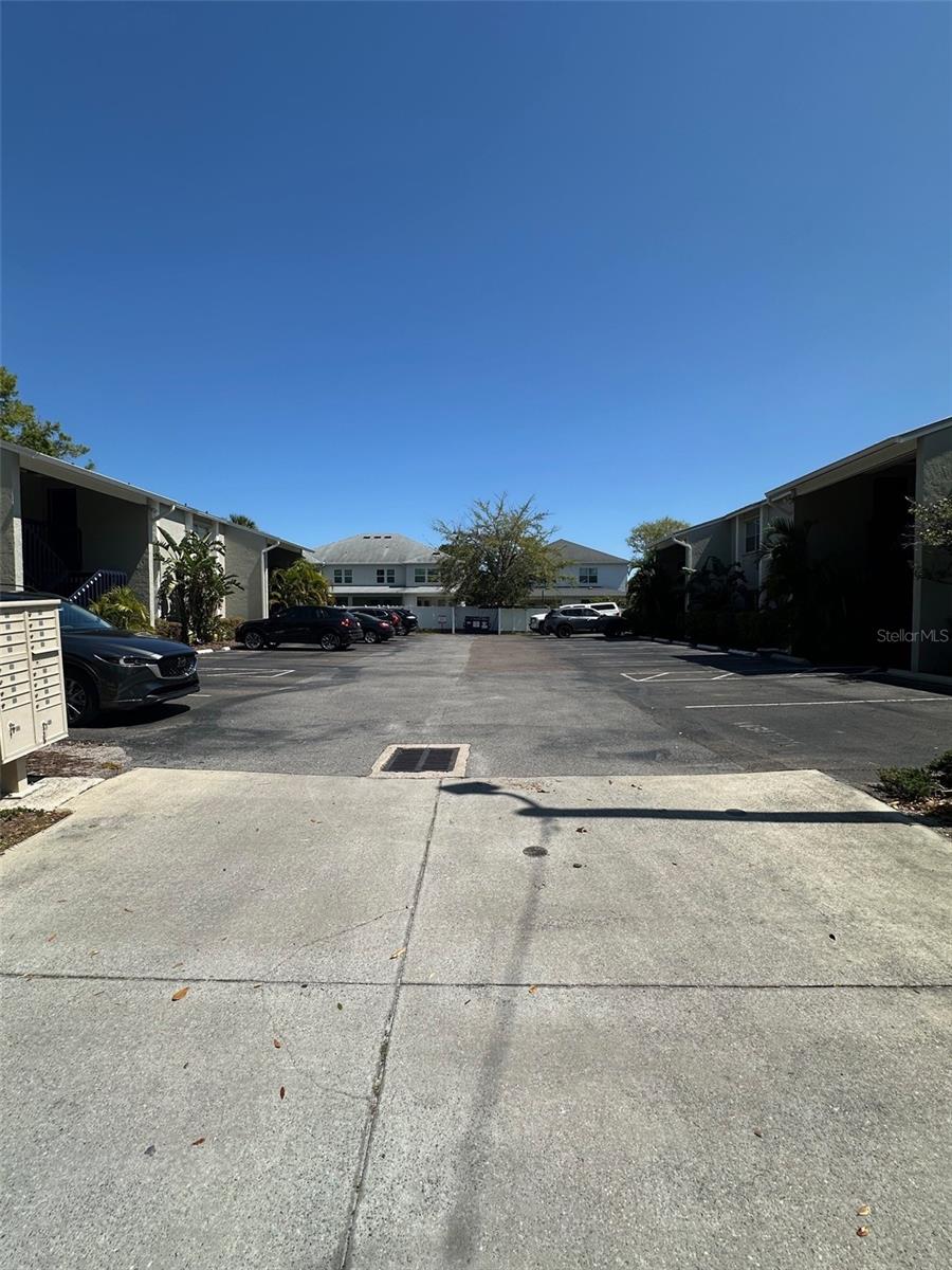 306 S HABANA AVE #7, TAMPA, FL, 33609