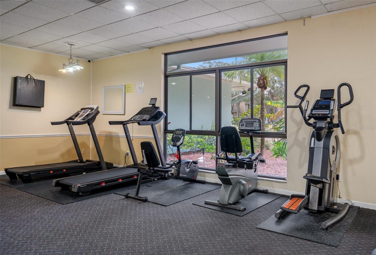 2422 HOUNDS TRL, PALM HARBOR, FL, 34683