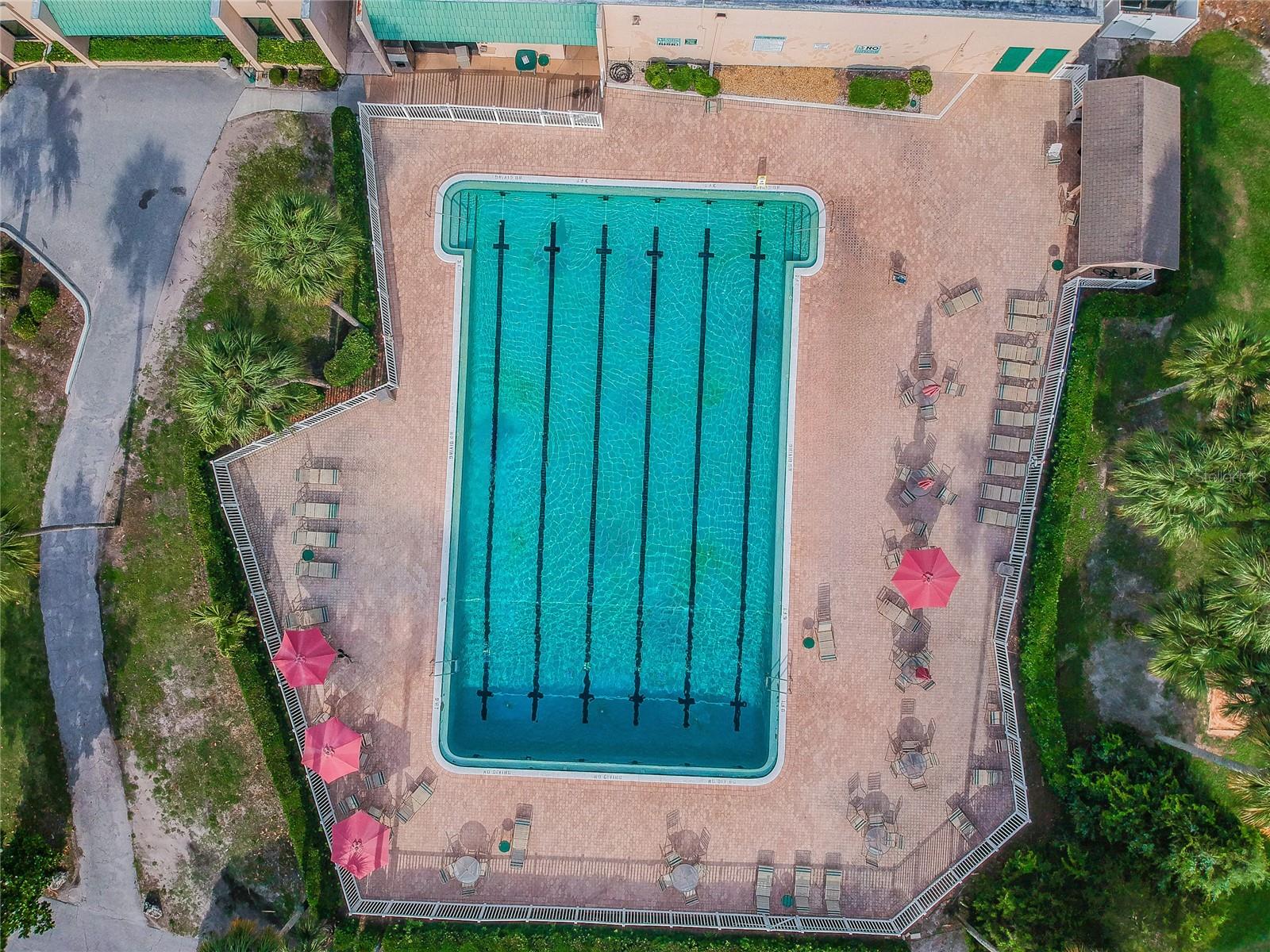 3636 TROPHY BLVD #3636, NEW PORT RICHEY, FL, 34655