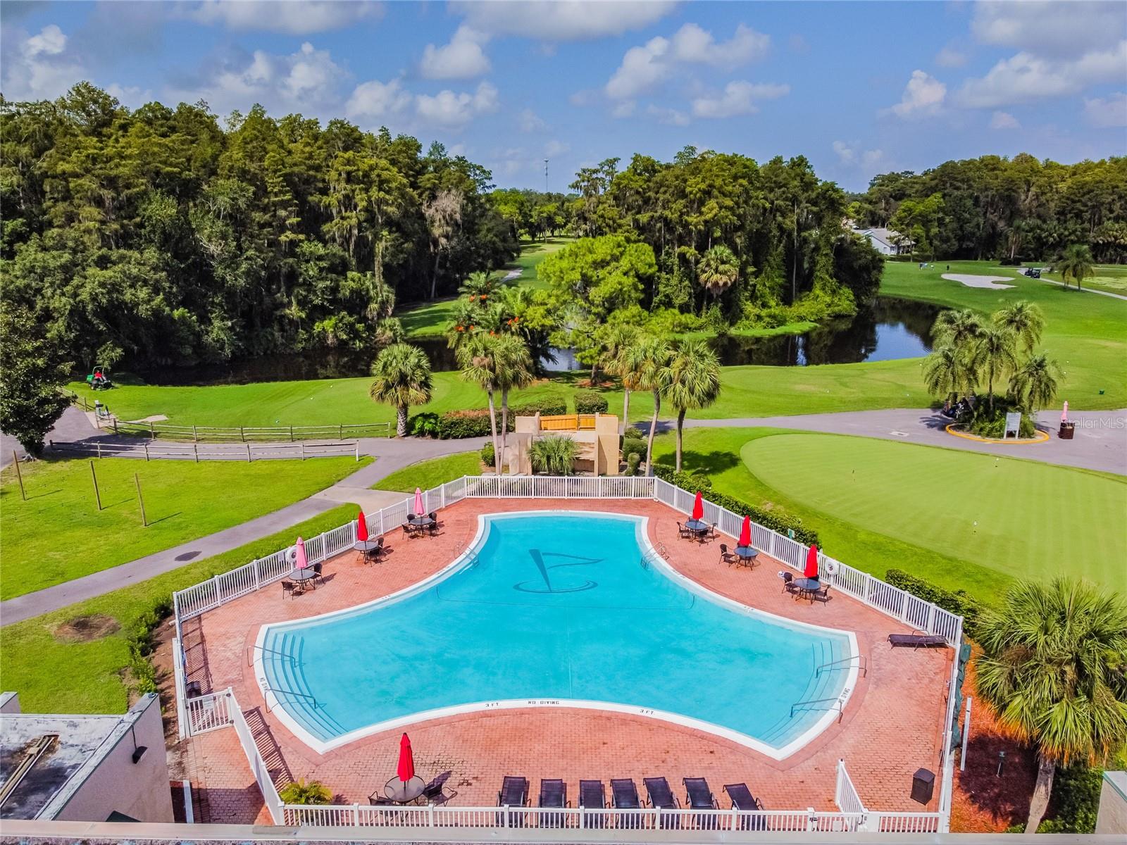 3636 TROPHY BLVD #3636, NEW PORT RICHEY, FL, 34655